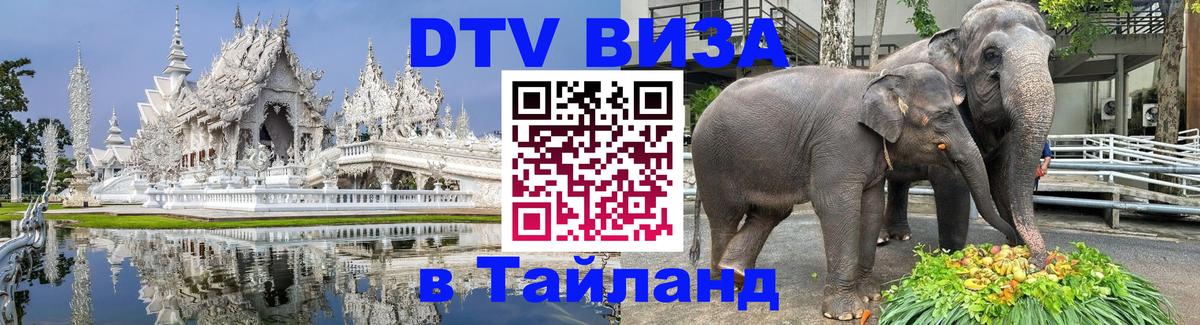 Оформление DTV визы под ключ: стоимость и тарифы, только загранпаспорт - Новочеркасск  19.11.2025 